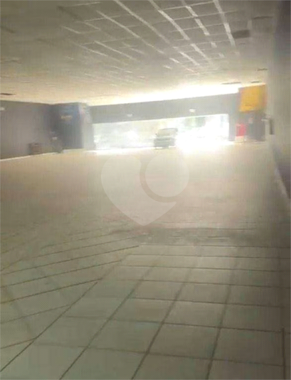 Foto REO1100971
