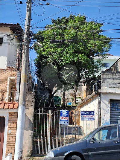 Foto REO1101020