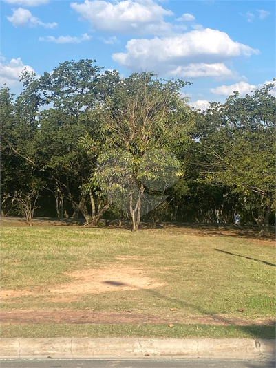 Foto REO1101063