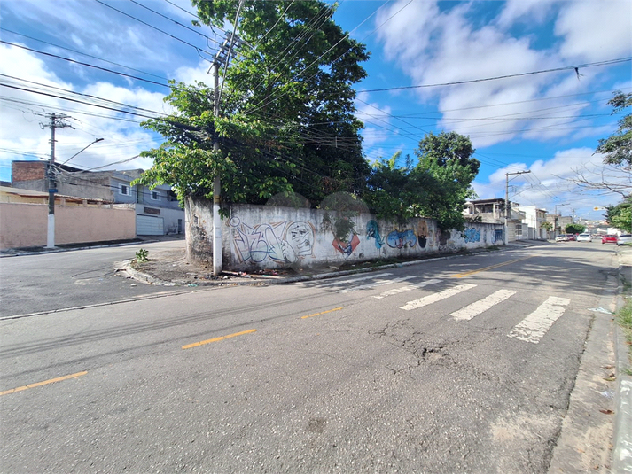 Foto REO1101064