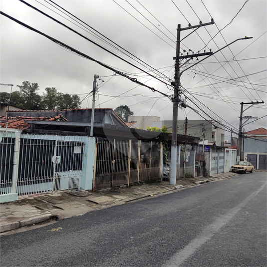 Foto REO1101144