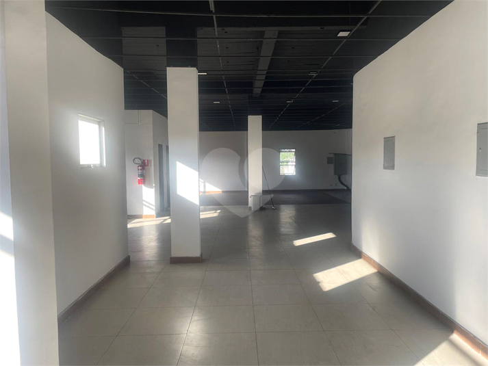 Foto REO1101183