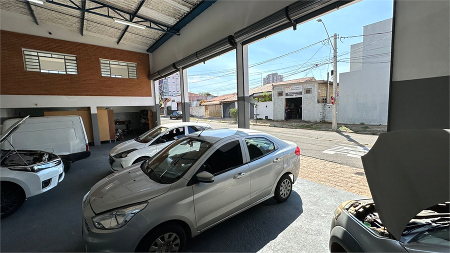 Foto REO1101187