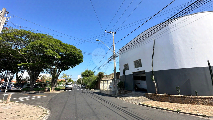 Foto REO1101187