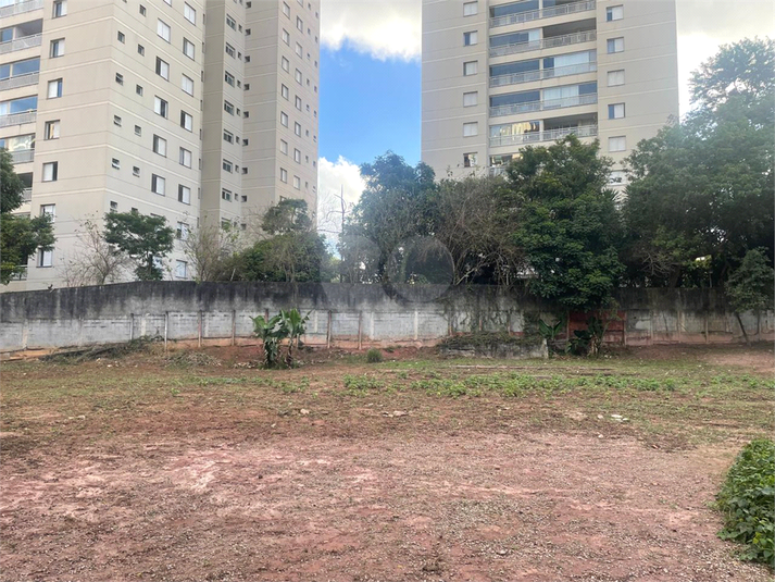 Foto REO1101247