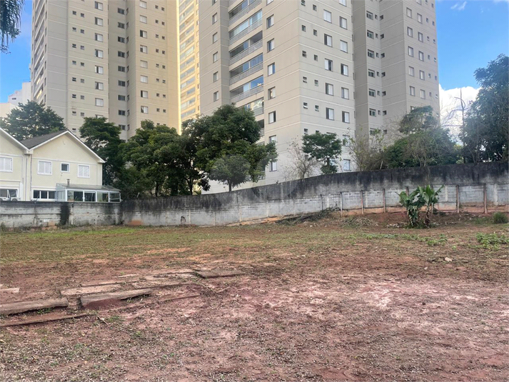 Foto REO1101247