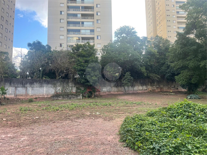 Foto REO1101247