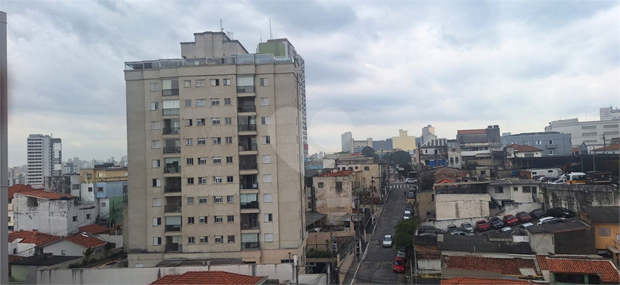Foto REO1101265