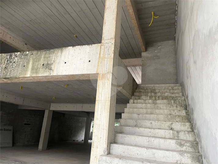 Foto REO1101298