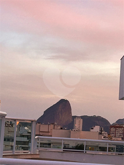 Foto REO1101366