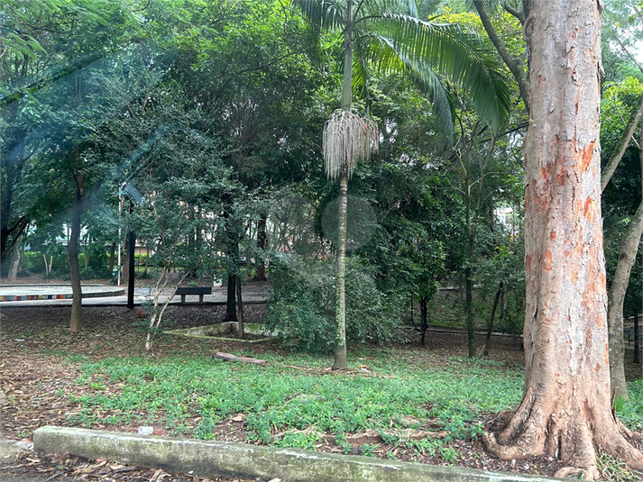 Foto REO1101386