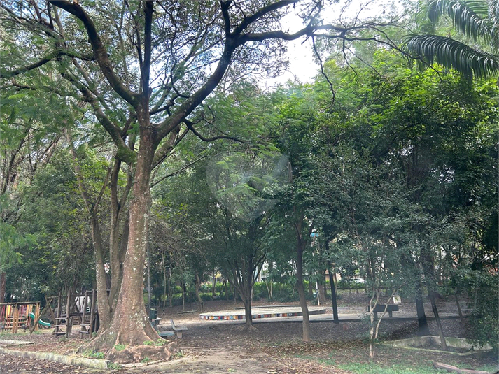 Foto REO1101386