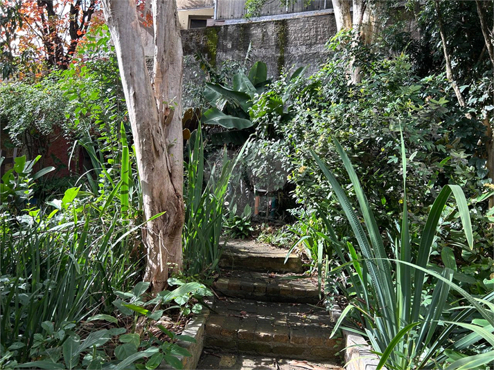 Foto REO1101386