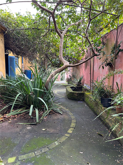Foto REO1101386