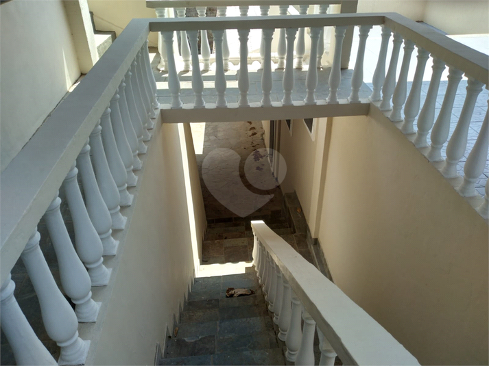Foto REO1101397