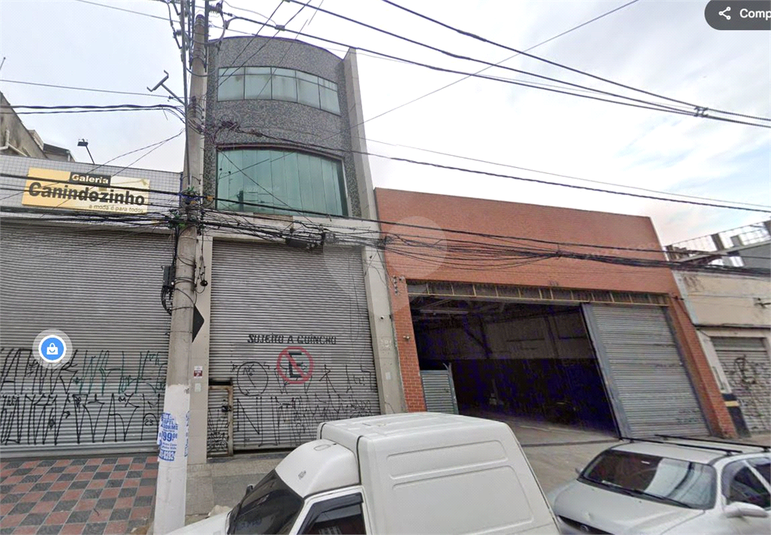 Foto REO1101399