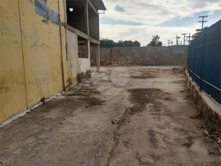 Foto REO1101401