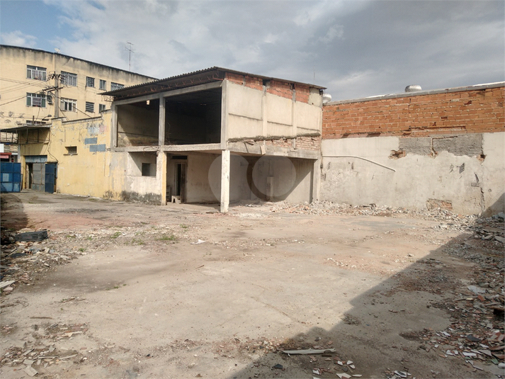 Foto REO1101401