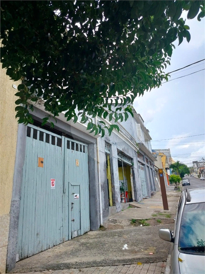 Foto REO1101424