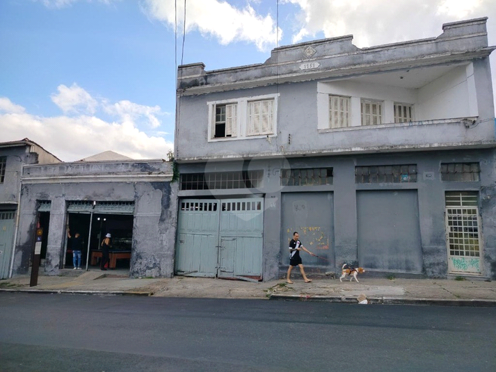 Foto REO1101424