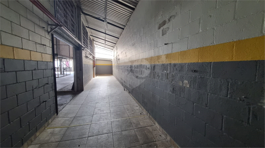 Foto REO1101433