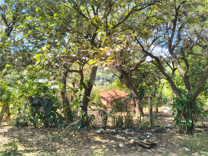 Foto REO1101436