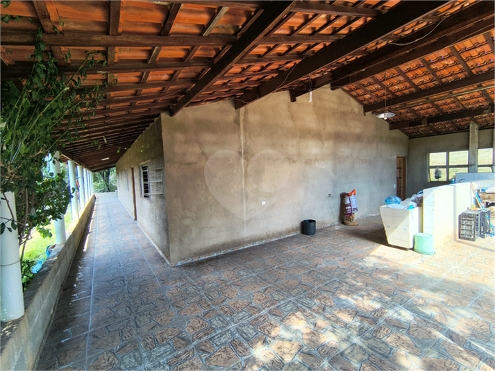 Foto REO1101436