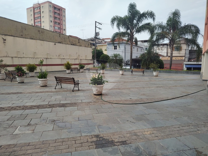 Foto REO1101450