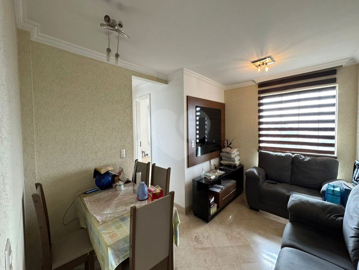 Foto REO1101469
