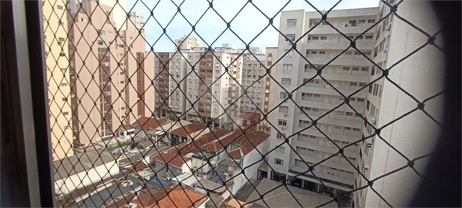 Foto REO1101477