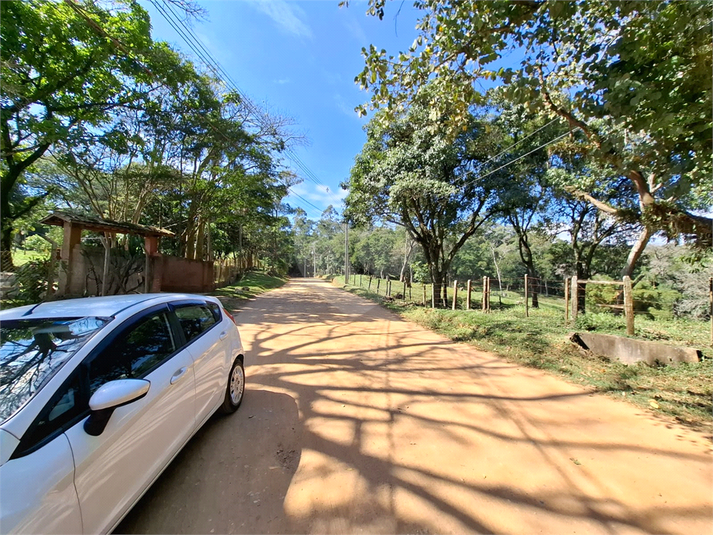 Foto REO1101492