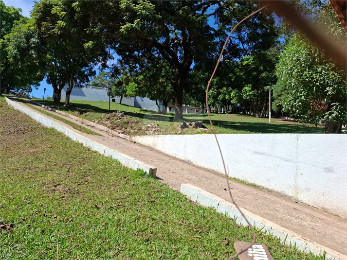 Foto REO1101492