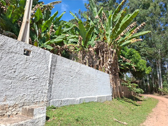 Foto REO1101492