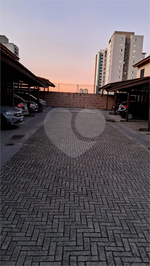 Foto REO1101519