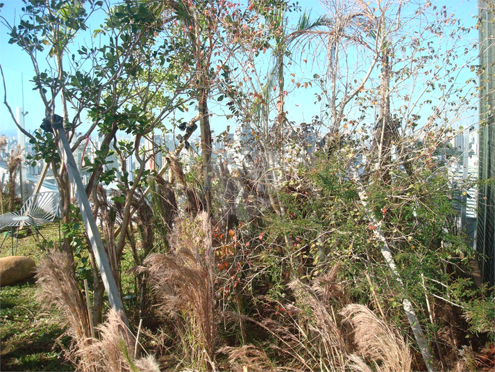 Foto REO1101531