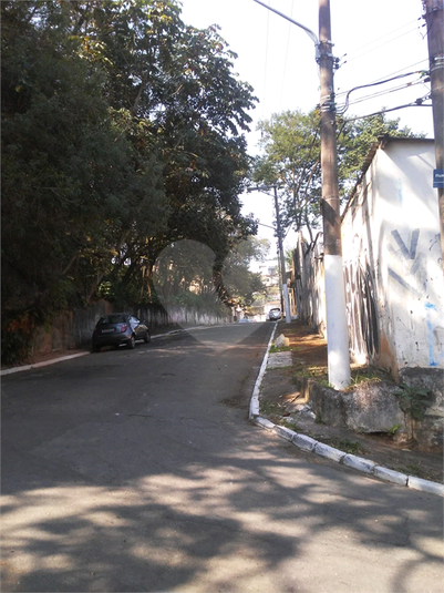 Foto REO1101533