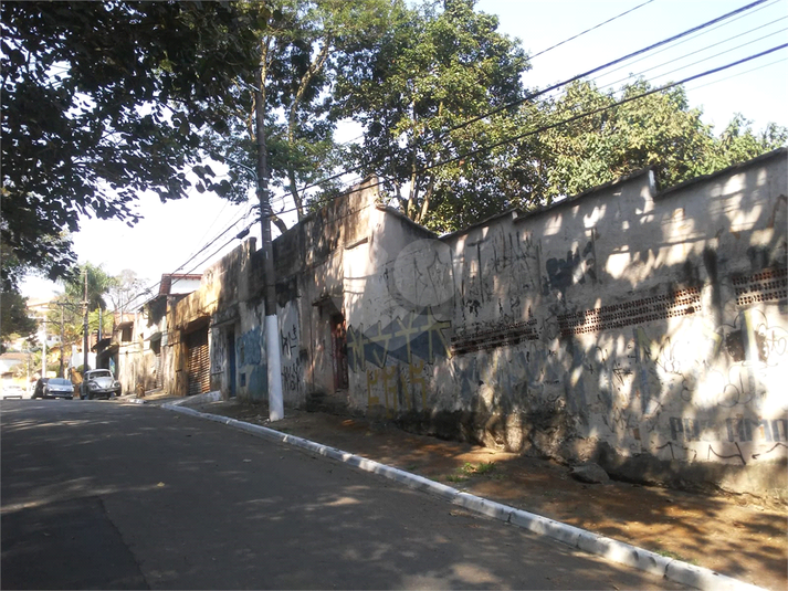 Foto REO1101533