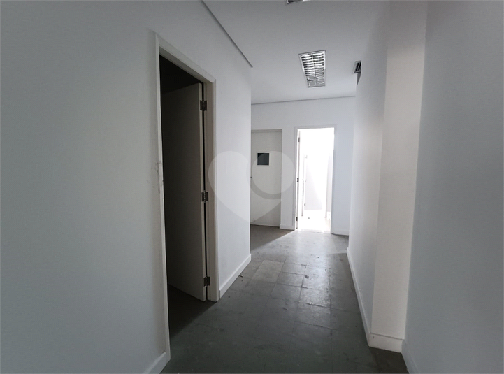 Foto REO1101546