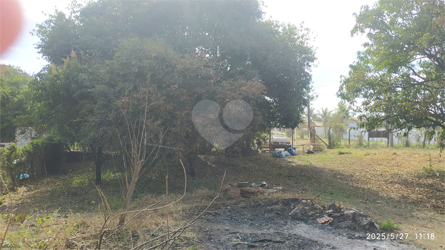 Foto REO1101558