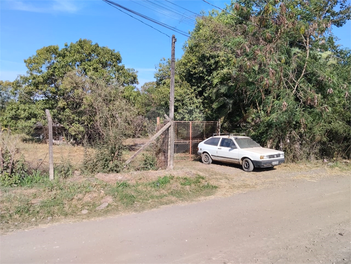 Foto REO1101558