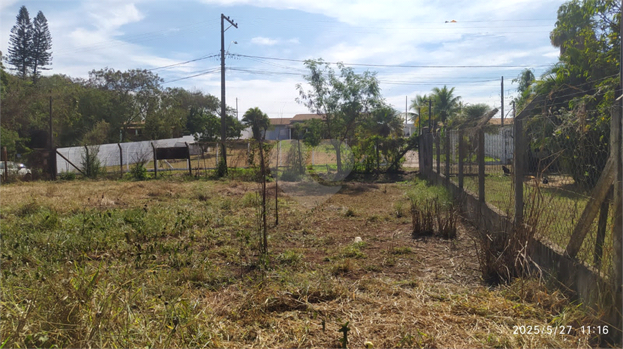 Foto REO1101558