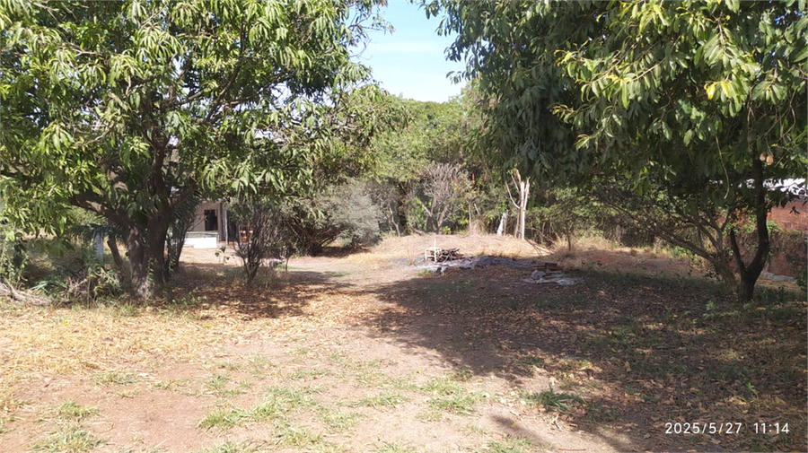 Foto REO1101558