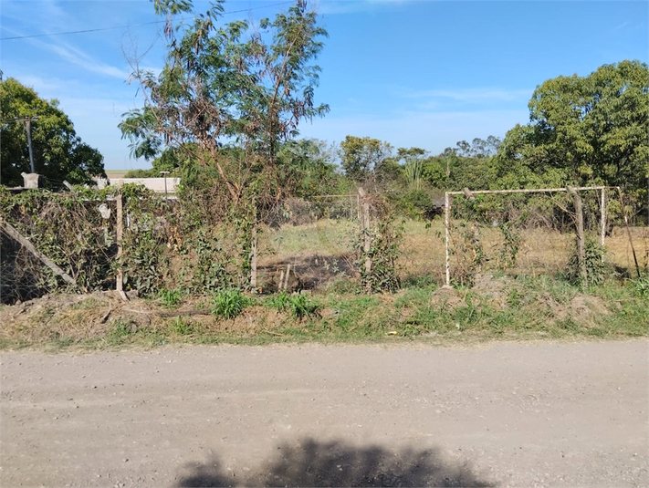 Foto REO1101558