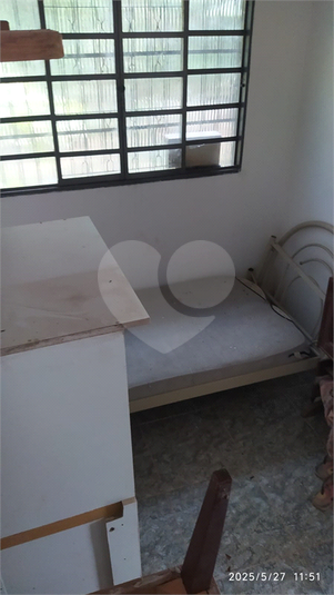 Foto REO1101558