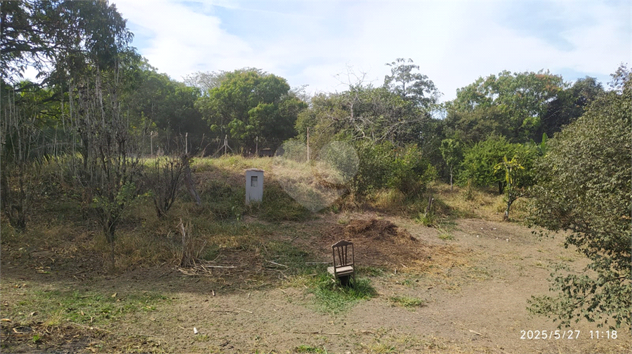 Foto REO1101558