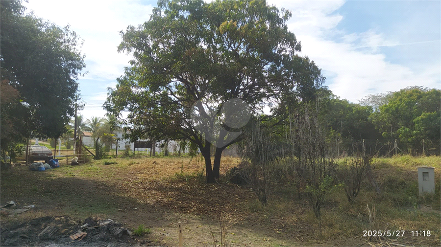 Foto REO1101558