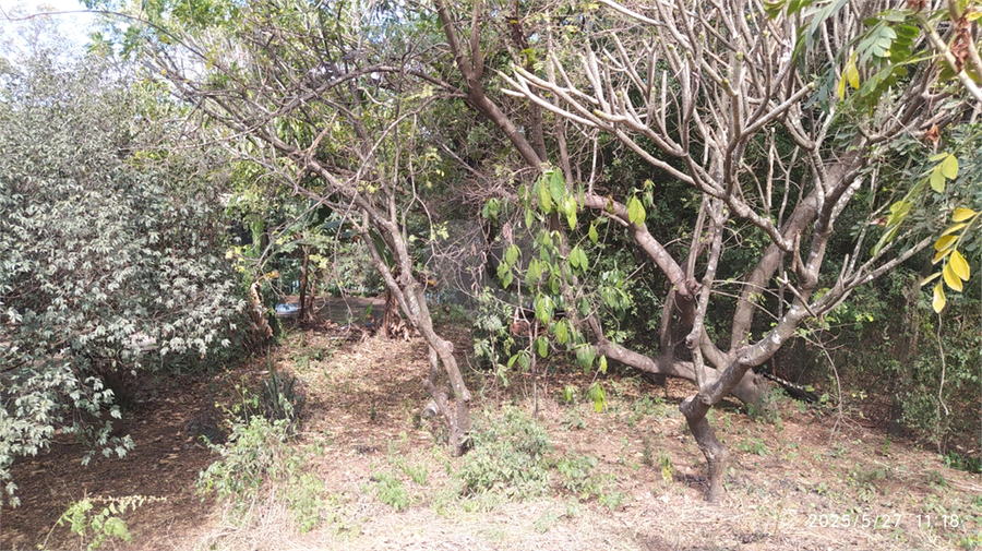 Foto REO1101558