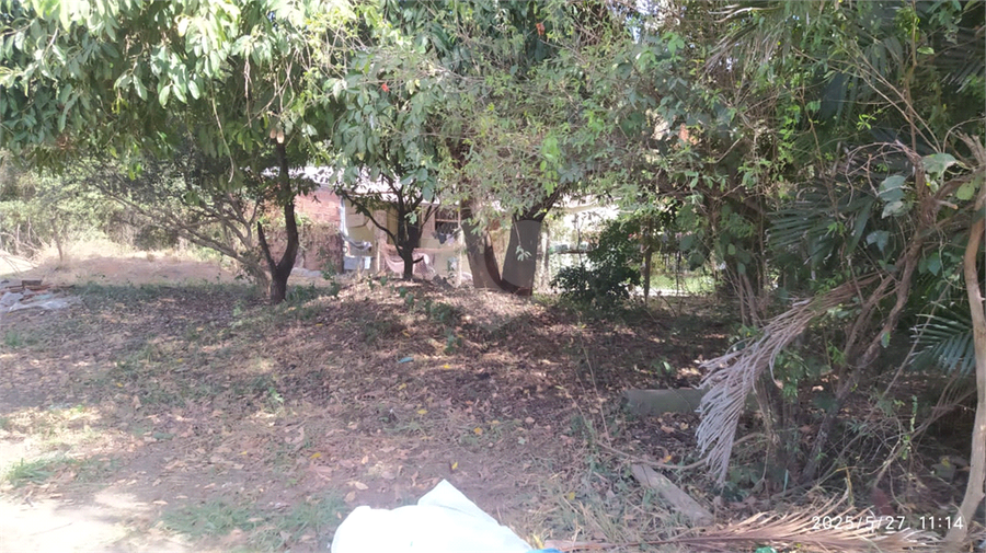 Foto REO1101558