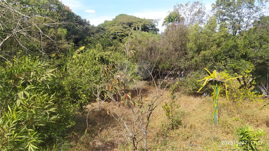 Foto REO1101558