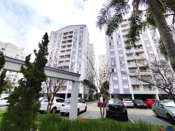 Foto REO1101560
